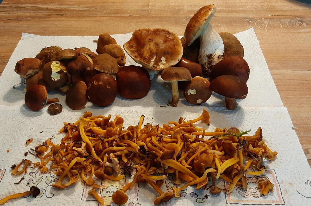 Chambre Boheme Au Domaine De Fangorn Glux-en-Glenne Zewnętrze zdjęcie
